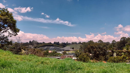 Lote en venta – Vereda Aguas Claras, El Carmen de Viboral – 874 m², hermosa vista