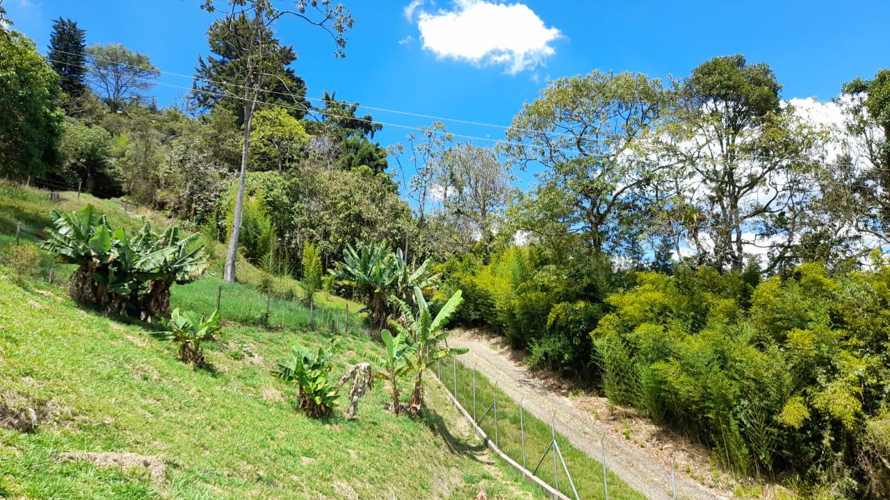 Finca en venta – Morrón, La Estrella – 12.400 m², casa 280 m², pesebreras