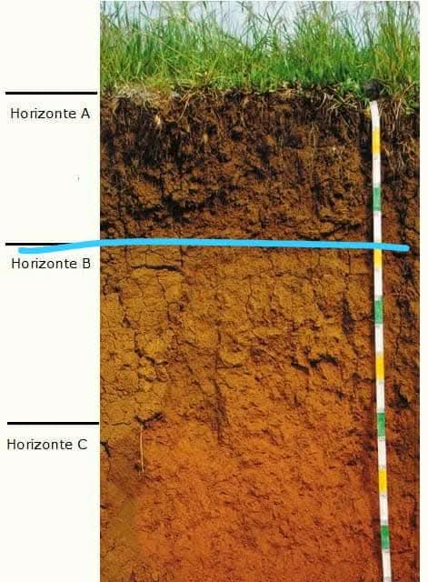 🏡 Finca en Venta en Concepción con Construcciones y Proyecto Arquitectónico 🌳