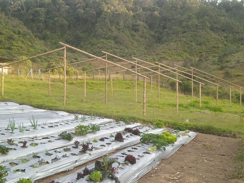 🏡 Finca en Venta en Concepción con Construcciones y Proyecto Arquitectónico 🌳