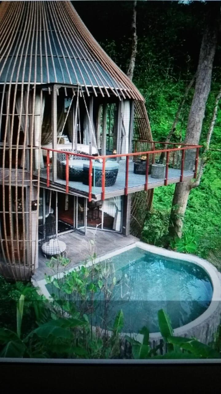 🏡 Finca en Venta en Concepción con Construcciones y Proyecto Arquitectónico 🌳
