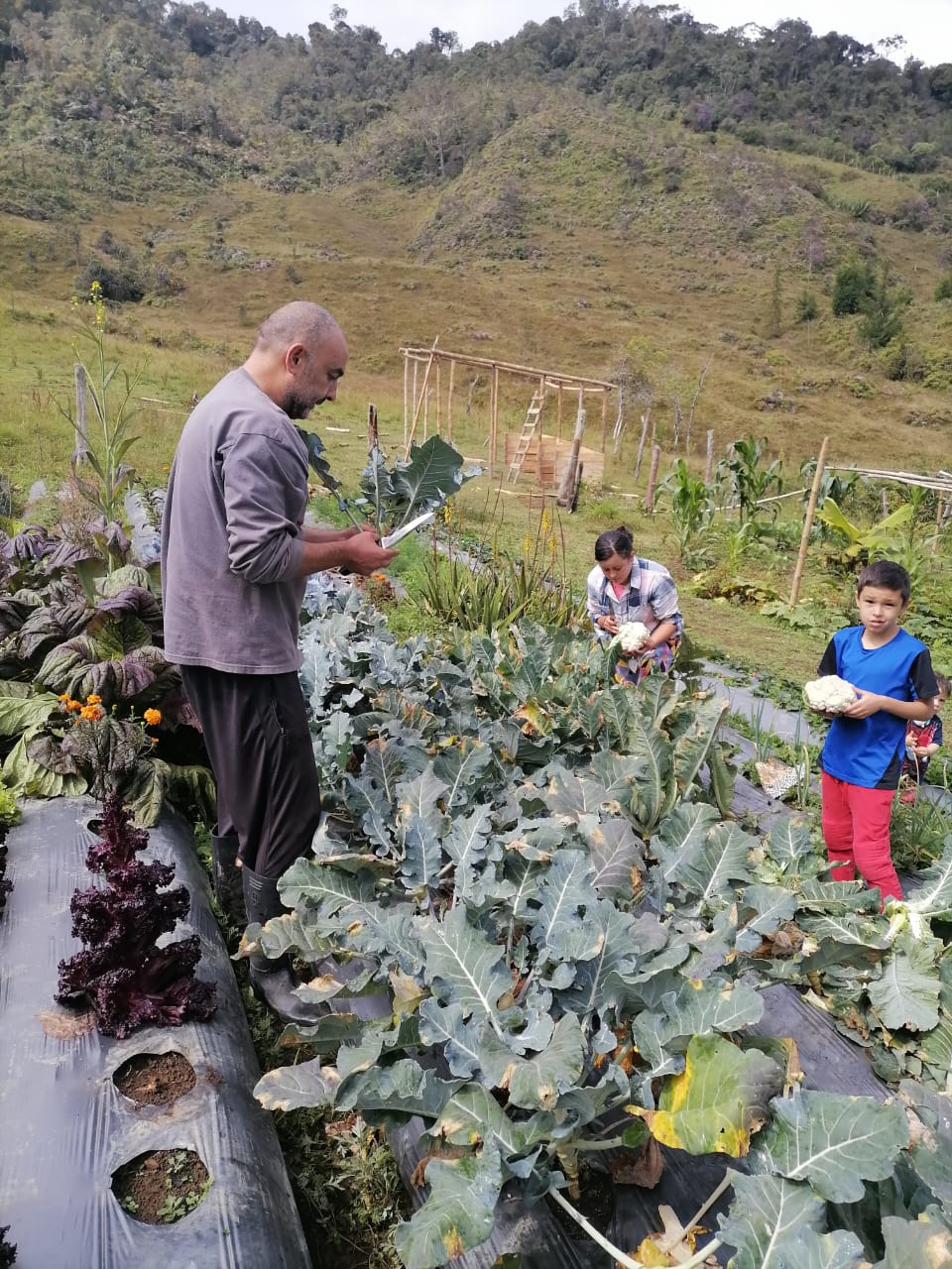 🏡 Finca en Venta en Concepción con Construcciones y Proyecto Arquitectónico 🌳
