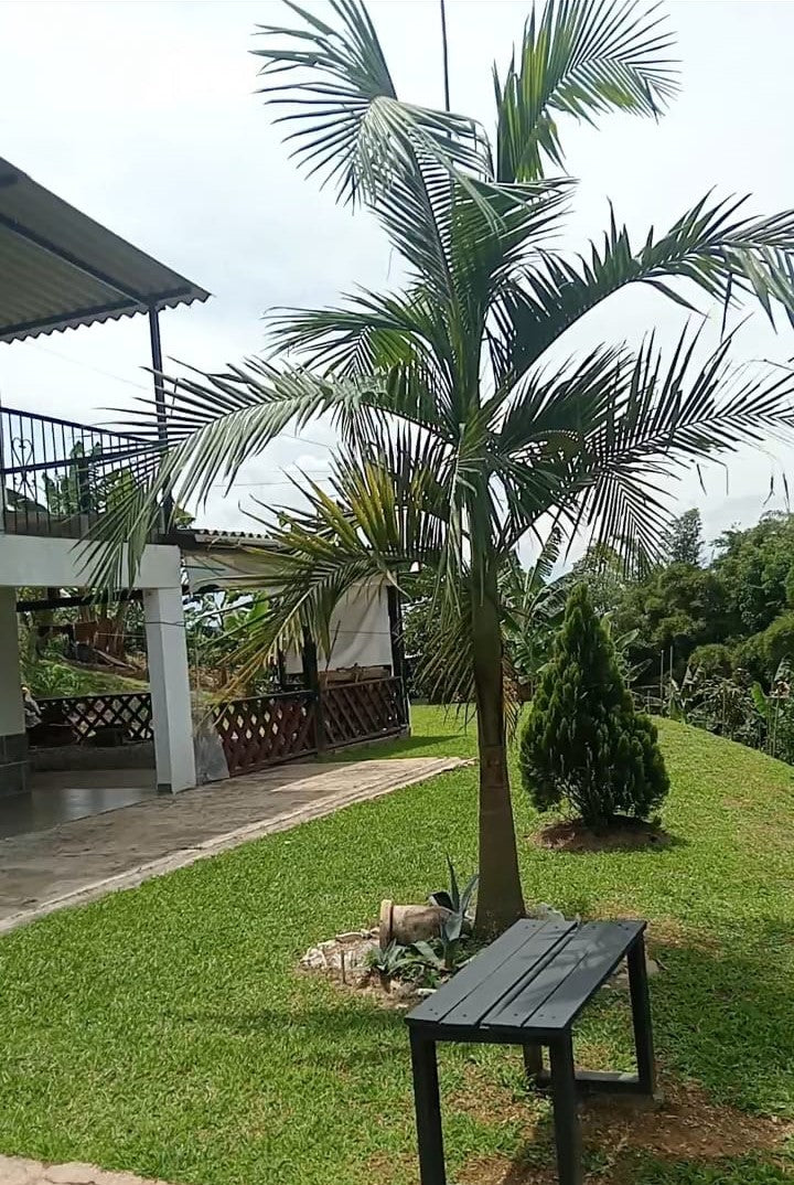 🏡 Espectacular Casafinca en Venta en Armenia Mantequilla, 3.350 m² 🌳