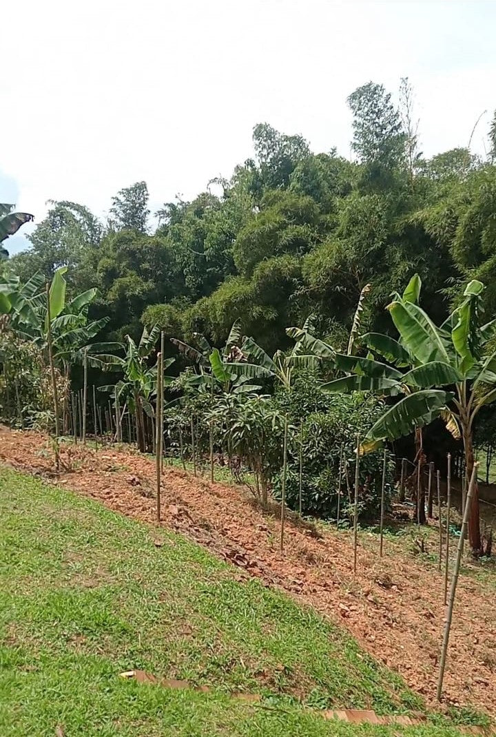 🏡 Espectacular Casafinca en Venta en Armenia Mantequilla, 3.350 m² 🌳