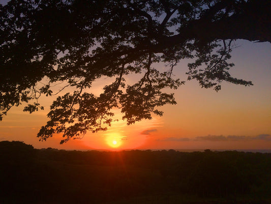 🌴 Lote en Venta en San Bernardo del Viento ¡A Pasos de la Playa! 25,758 m² 🌊