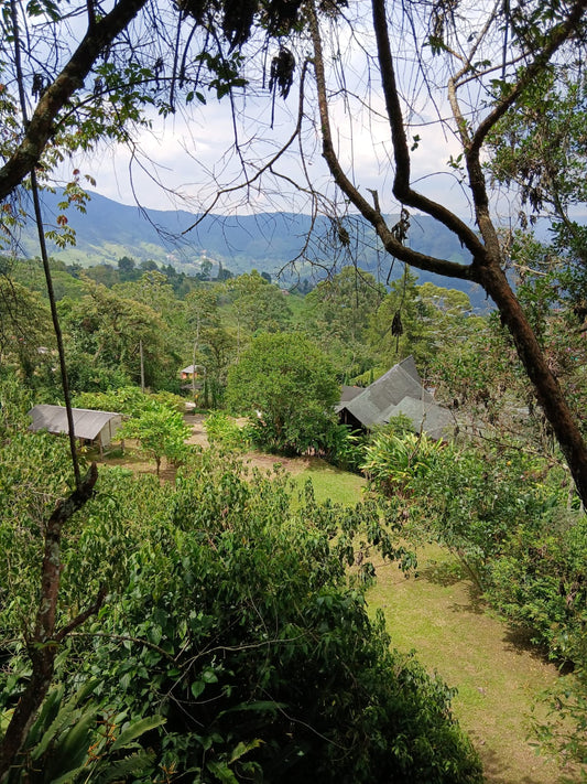 🏡 casa finca, venta 🌄