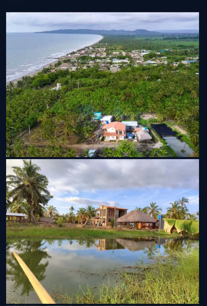 🌊 Lotes en Venta Junto al Mar en Urabá | Proyecto Ecoturístico Uberos 🌴