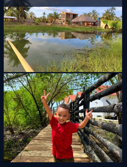 🌊 Lotes en Venta Junto al Mar en Urabá | Proyecto Ecoturístico Uberos 🌴