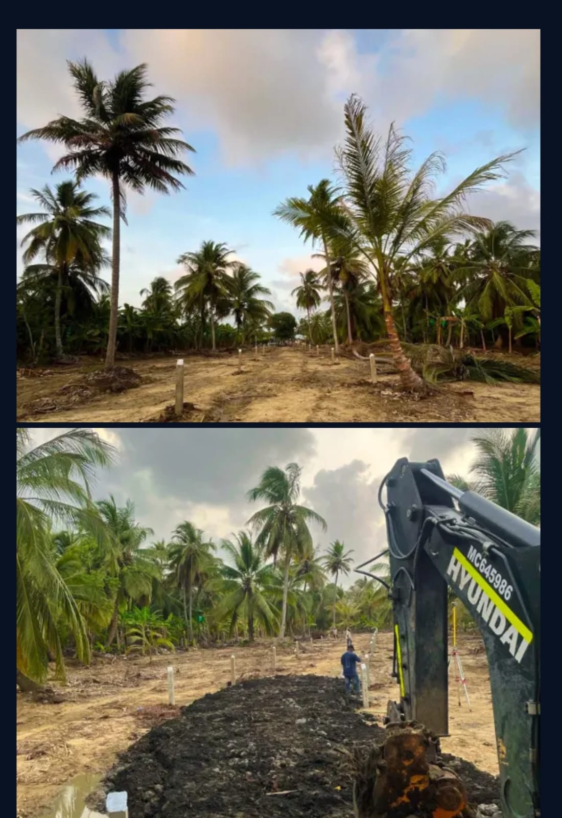 🌊 Lotes en Venta Junto al Mar en Urabá | Proyecto Ecoturístico Uberos 🌴