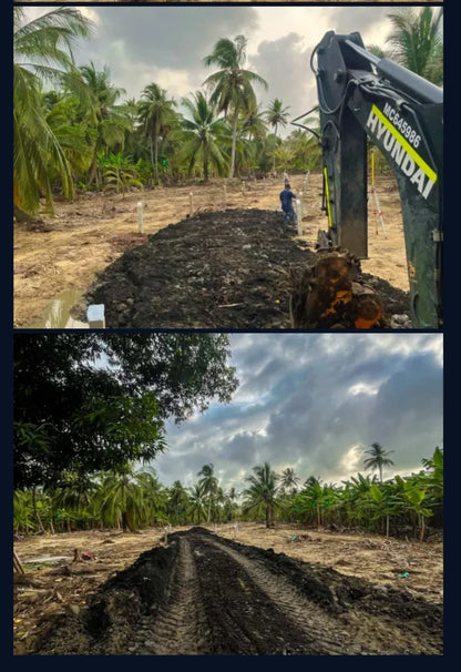 🌊 Lotes en Venta Junto al Mar en Urabá | Proyecto Ecoturístico Uberos 🌴