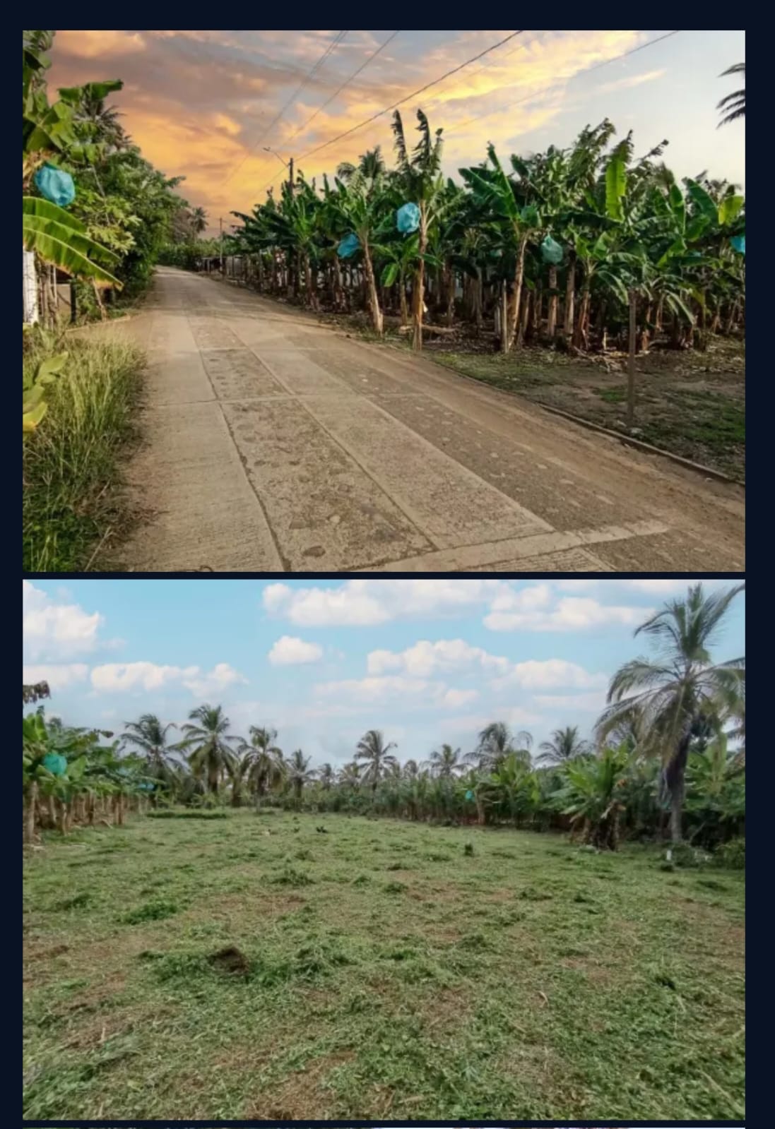 🌊 Lotes en Venta Junto al Mar en Urabá | Proyecto Ecoturístico Uberos 🌴