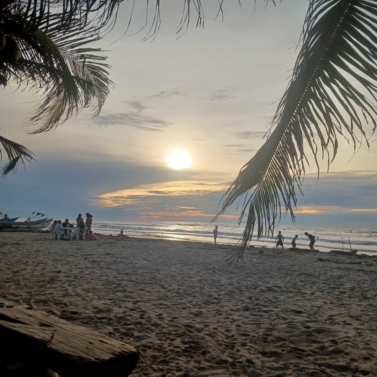 🌊 Lotes en Venta Junto al Mar en Urabá | Proyecto Ecoturístico Uberos 🌴