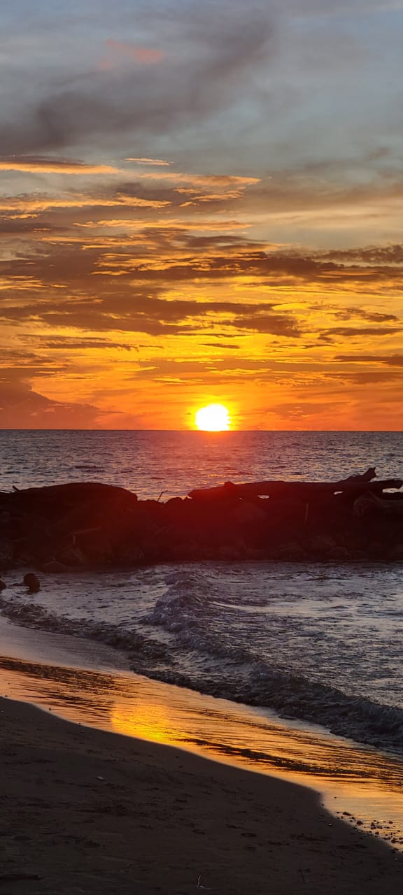 🌊 Lotes en Venta Junto al Mar en Urabá | Proyecto Ecoturístico Uberos 🌴