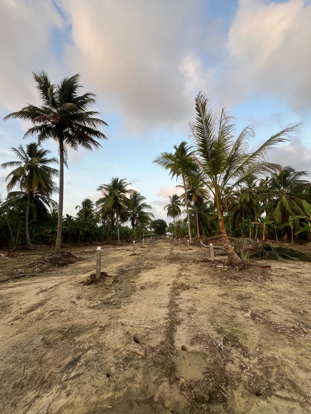 🌊 Lotes en Venta Junto al Mar en Urabá | Proyecto Ecoturístico Uberos 🌴