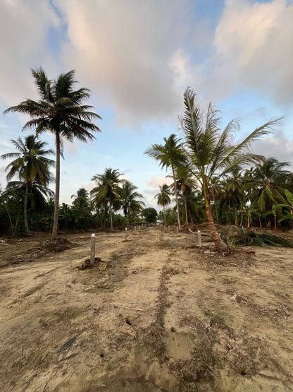🌊 Lotes en Venta Junto al Mar en Urabá | Proyecto Ecoturístico Uberos 🌴