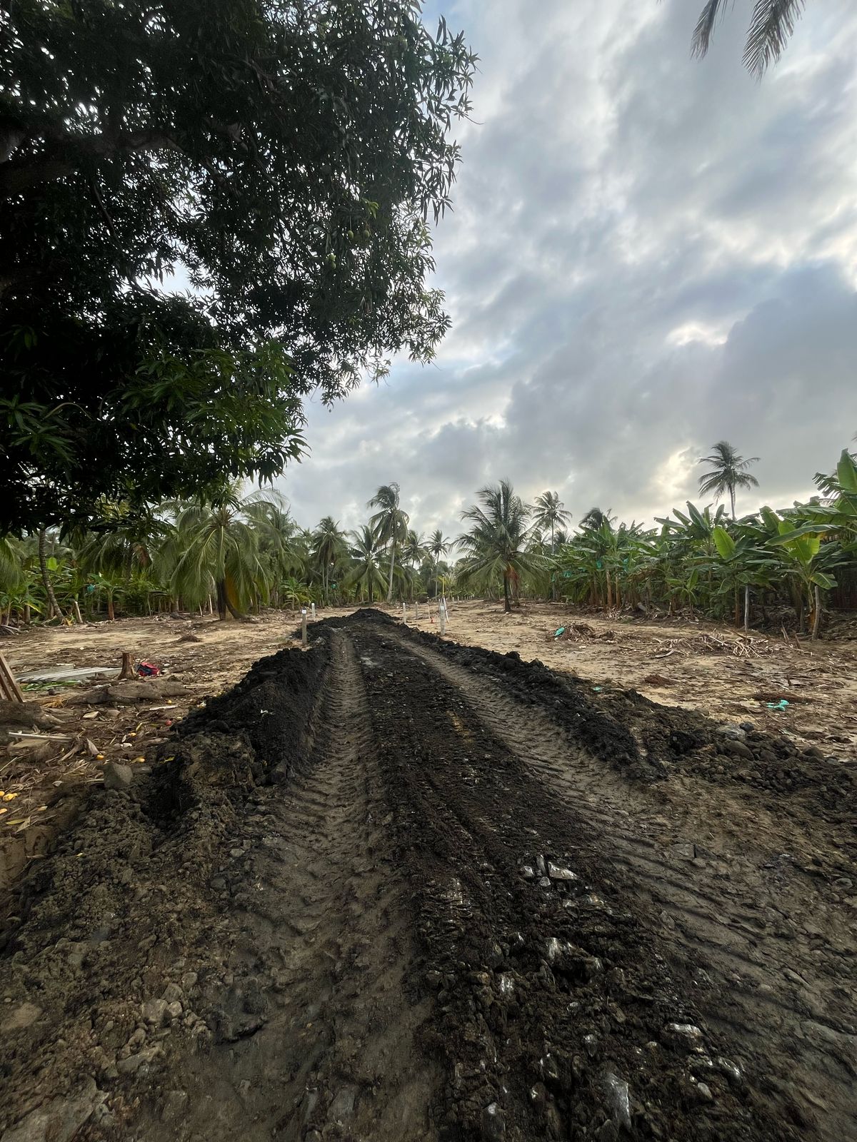 🌊 Lotes en Venta Junto al Mar en Urabá | Proyecto Ecoturístico Uberos 🌴