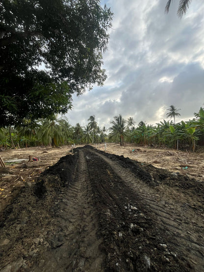 🌊 Lotes en Venta Junto al Mar en Urabá | Proyecto Ecoturístico Uberos 🌴