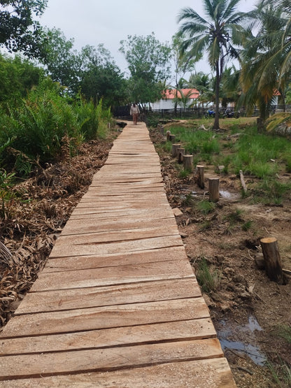 🌊 Lotes en Venta Junto al Mar en Urabá | Proyecto Ecoturístico Uberos 🌴