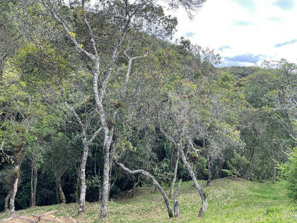 casafinca -Arriendo- Santa Elena