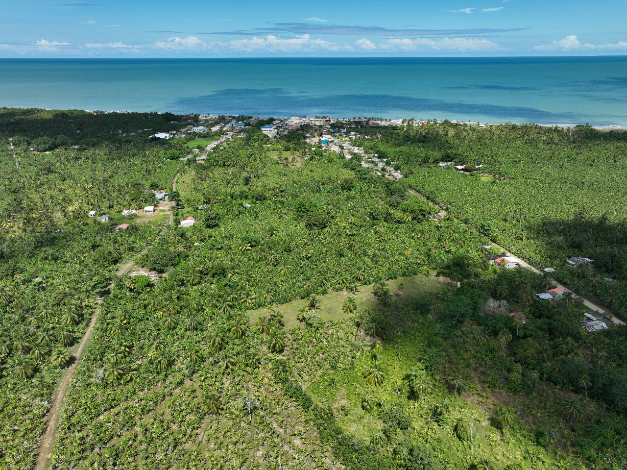 🌊 Lotes en Venta Junto al Mar en Urabá | Proyecto Ecoturístico Uberos 🌴