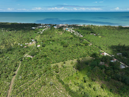 🌊 Lotes en Venta Junto al Mar en Urabá | Proyecto Ecoturístico Uberos 🌴