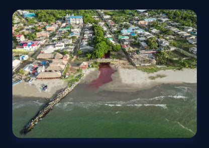 🌊 Lotes en Venta Junto al Mar en Urabá | Proyecto Ecoturístico Uberos 🌴