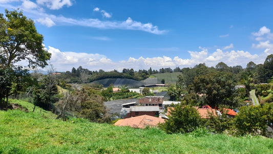 Lote en venta – Vereda Aguas Claras, El Carmen de Viboral – 874 m², hermosa vista
