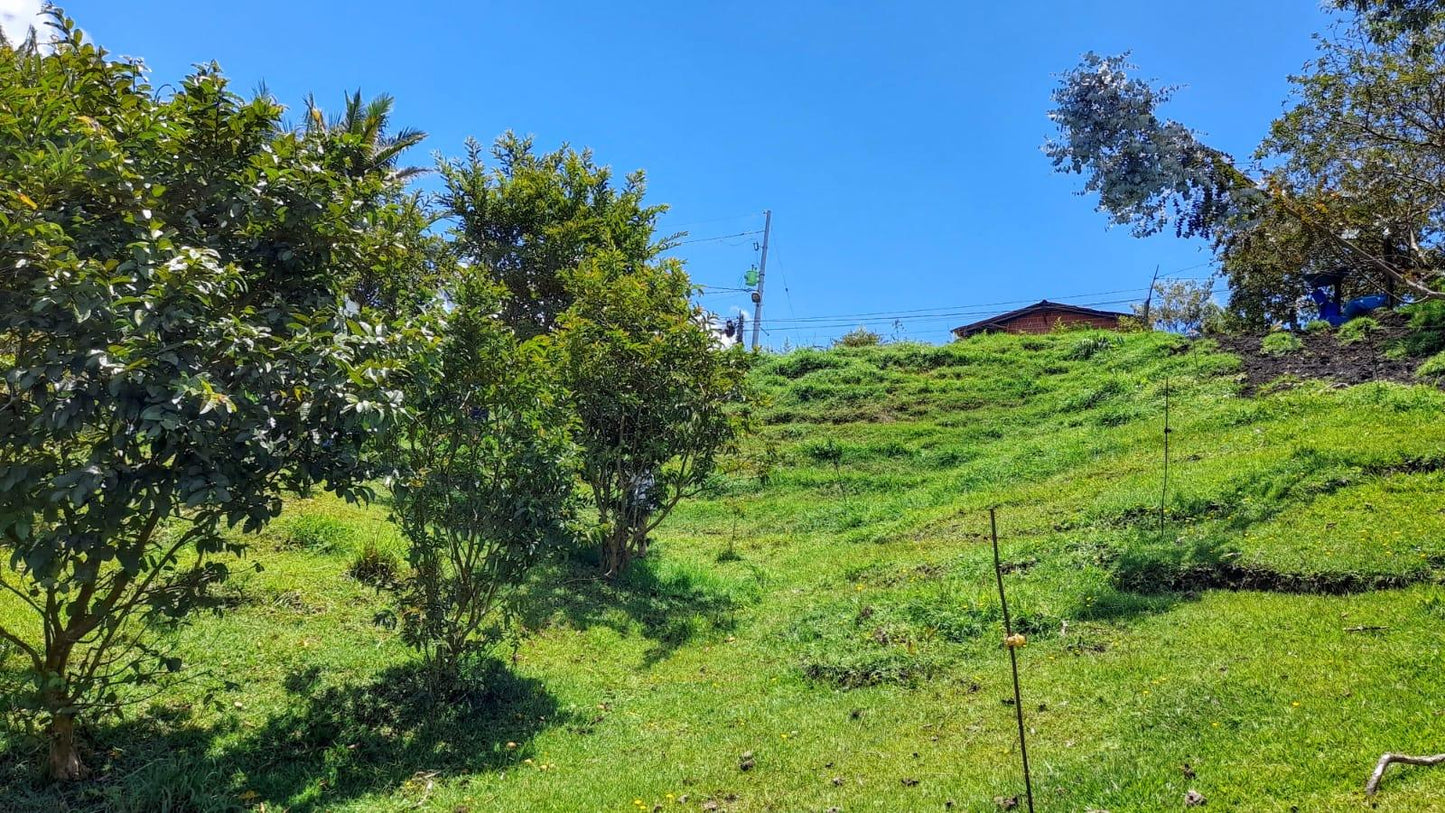Lote en venta – Vereda Aguas Claras, El Carmen de Viboral – 874 m², hermosa vista