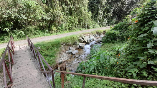 Apartaestudio en arriendo – Vereda San José, sector Morrón – La Estrella