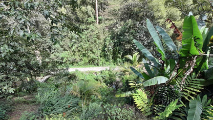 Apartaestudio en arriendo – Vereda San José, sector Morrón – La Estrella
