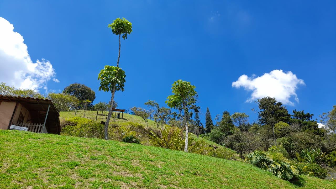 Finca en venta – Morrón, La Estrella – 12.400 m², casa 280 m², pesebreras