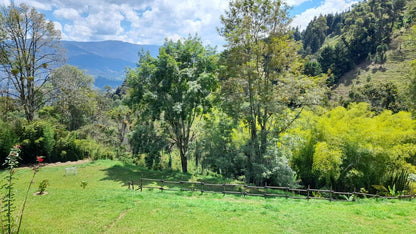 Finca en venta – Morrón, La Estrella – 12.400 m², casa 280 m², pesebreras