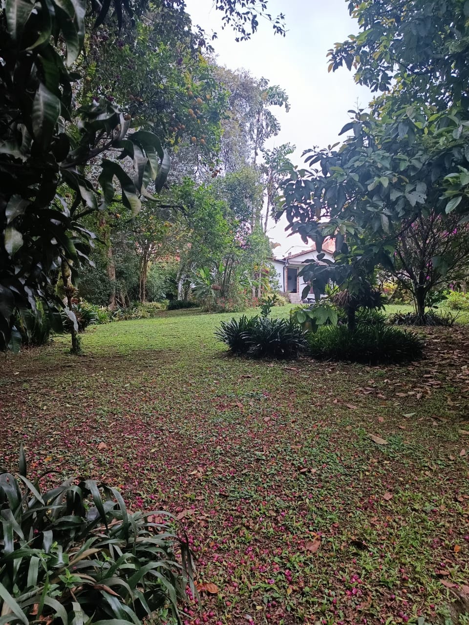 Casalote en Venta en La Estrella, 1.670 mts², Cerca al Parque Principal