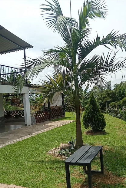 🏡 Espectacular Casafinca en Venta en Armenia Mantequilla, 3.350 m² 🌳
