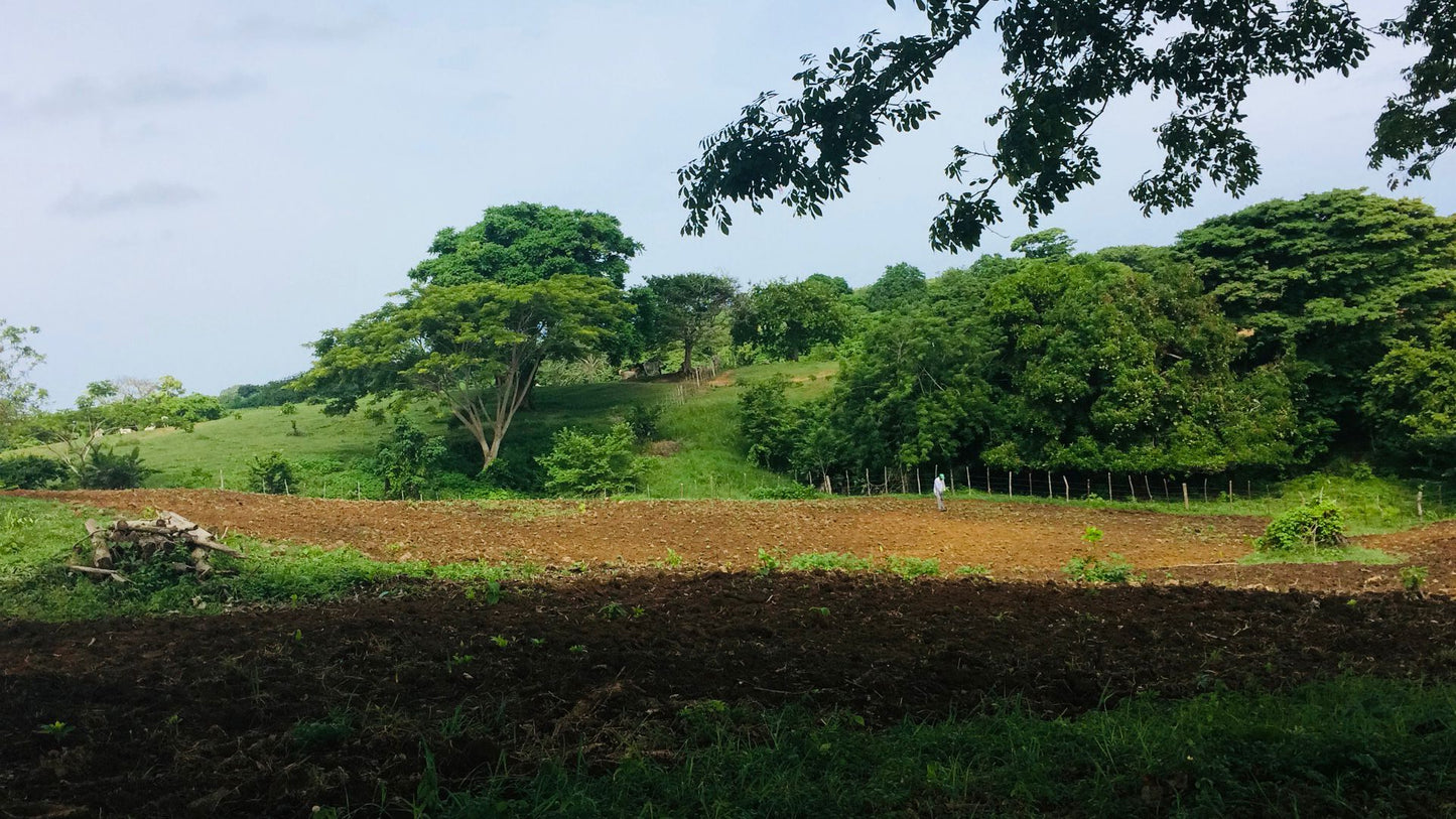 🌴 Lote en Venta en San Bernardo del Viento ¡A Pasos de la Playa!  25,758 m² 🌊