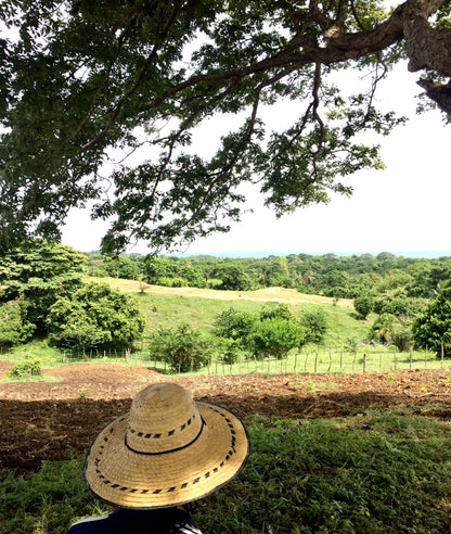 🌴 Lote en Venta en San Bernardo del Viento ¡A Pasos de la Playa!  25,758 m² 🌊