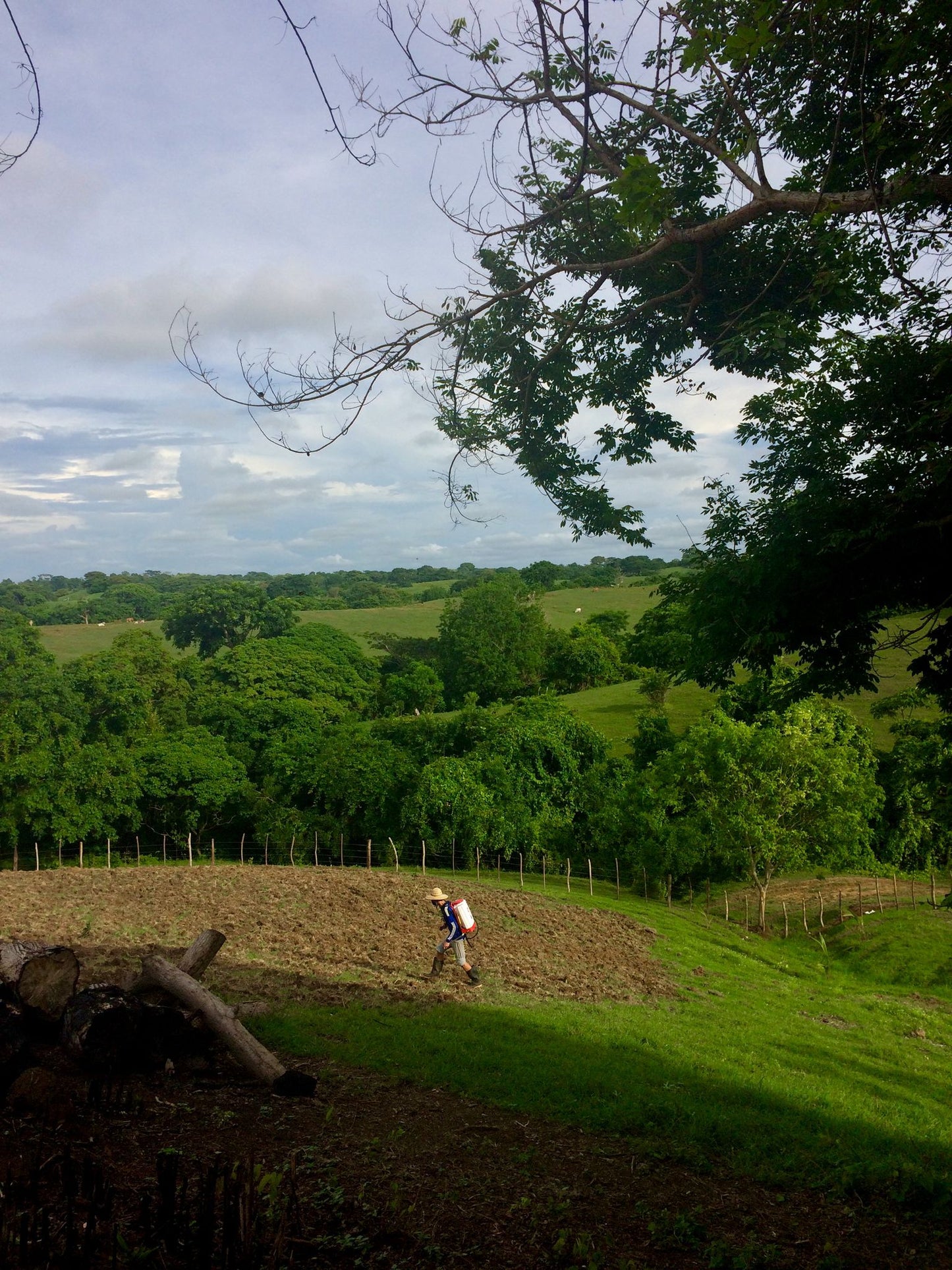 🌴 Lote en Venta en San Bernardo del Viento ¡A Pasos de la Playa!  25,758 m² 🌊