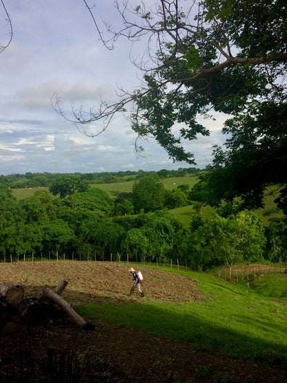 🌴 Lote en Venta en San Bernardo del Viento ¡A Pasos de la Playa!  25,758 m² 🌊