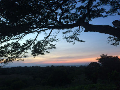 🌴 Lote en Venta en San Bernardo del Viento ¡A Pasos de la Playa!  25,758 m² 🌊