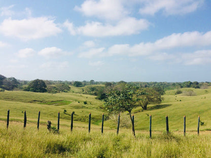 🌴 Lote en Venta en San Bernardo del Viento ¡A Pasos de la Playa!  25,758 m² 🌊