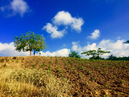 🌴 Lote en Venta en San Bernardo del Viento ¡A Pasos de la Playa!  25,758 m² 🌊