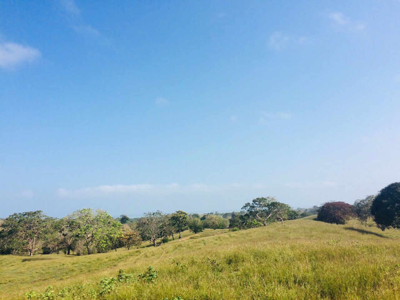 🌴 Lote en Venta en San Bernardo del Viento ¡A Pasos de la Playa!  25,758 m² 🌊