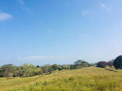 🌴 Lote en Venta en San Bernardo del Viento ¡A Pasos de la Playa!  25,758 m² 🌊