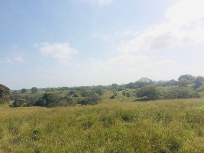 🌴 Lote en Venta en San Bernardo del Viento ¡A Pasos de la Playa!  25,758 m² 🌊