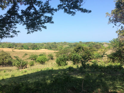 🌴 Lote en Venta en San Bernardo del Viento ¡A Pasos de la Playa!  25,758 m² 🌊