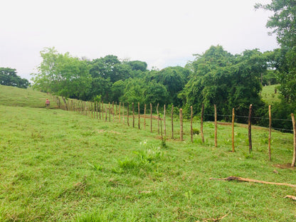 🌴 Lote en Venta en San Bernardo del Viento ¡A Pasos de la Playa!  25,758 m² 🌊