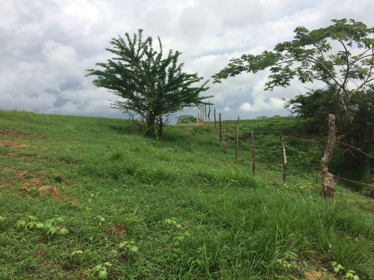 🌴 Lote en Venta en San Bernardo del Viento ¡A Pasos de la Playa!  25,758 m² 🌊