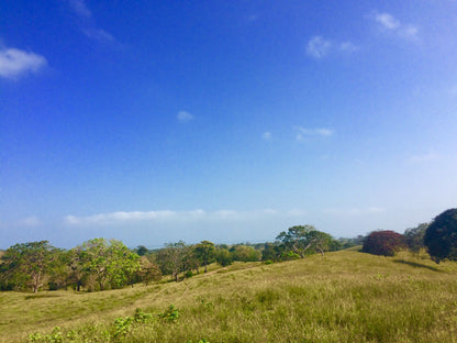 🌴 Lote en Venta en San Bernardo del Viento ¡A Pasos de la Playa!  25,758 m² 🌊