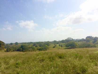 🌴 Lote en Venta en San Bernardo del Viento ¡A Pasos de la Playa!  25,758 m² 🌊