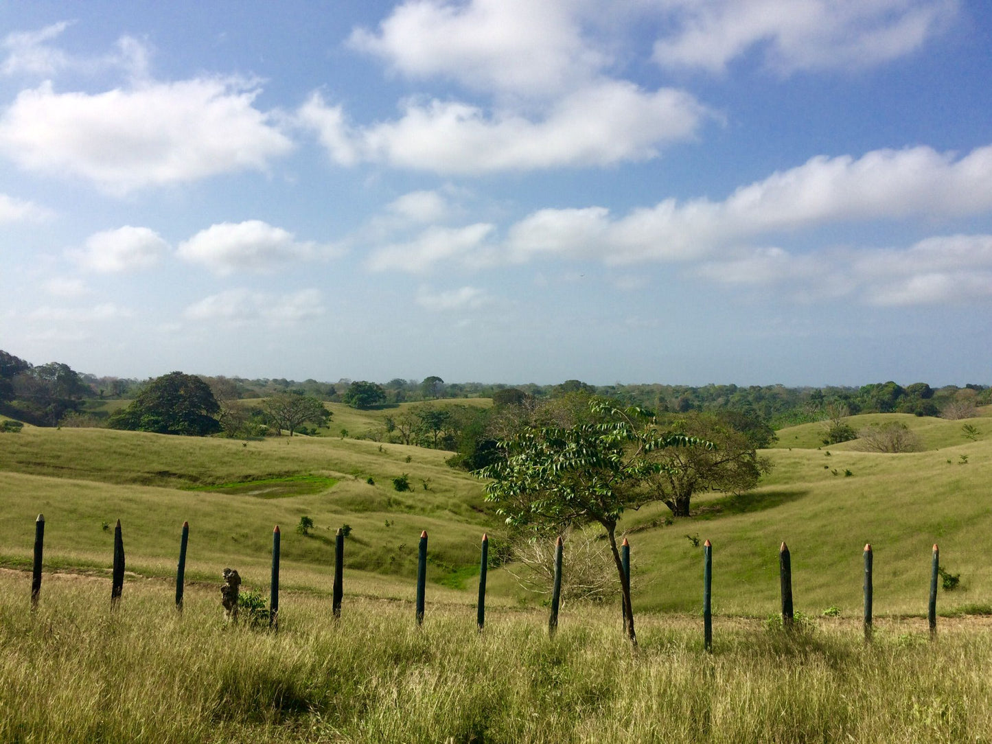 🌴 Lote en Venta en San Bernardo del Viento ¡A Pasos de la Playa!  25,758 m² 🌊